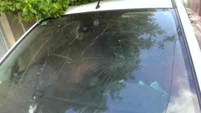 If you are involved in a car accident in South Africa and like to know what to do, please read more.