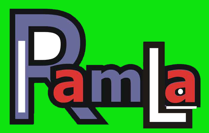 RAMLA - car accident damage claim service South Africa